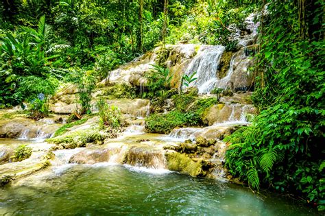 konoko falls|konoko falls or dunn river.